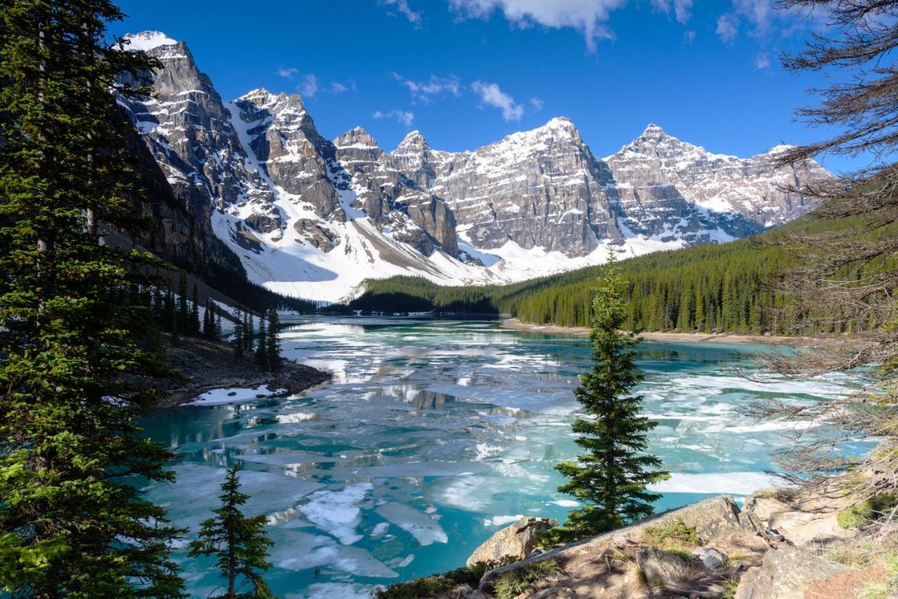 Spectacular Mountain View Corner Unit Pool Hot Tub Park Pass Lägenhet Canmore Exteriör bild